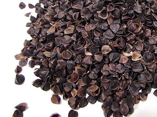 Camera Couch - Filled Bean Bag - Image 2